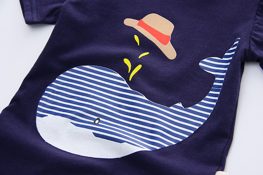 compleu-model-balena (3)